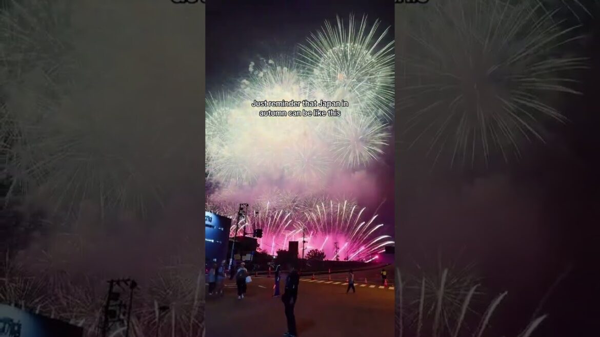 🎆Japan Fireworks Festival🎇