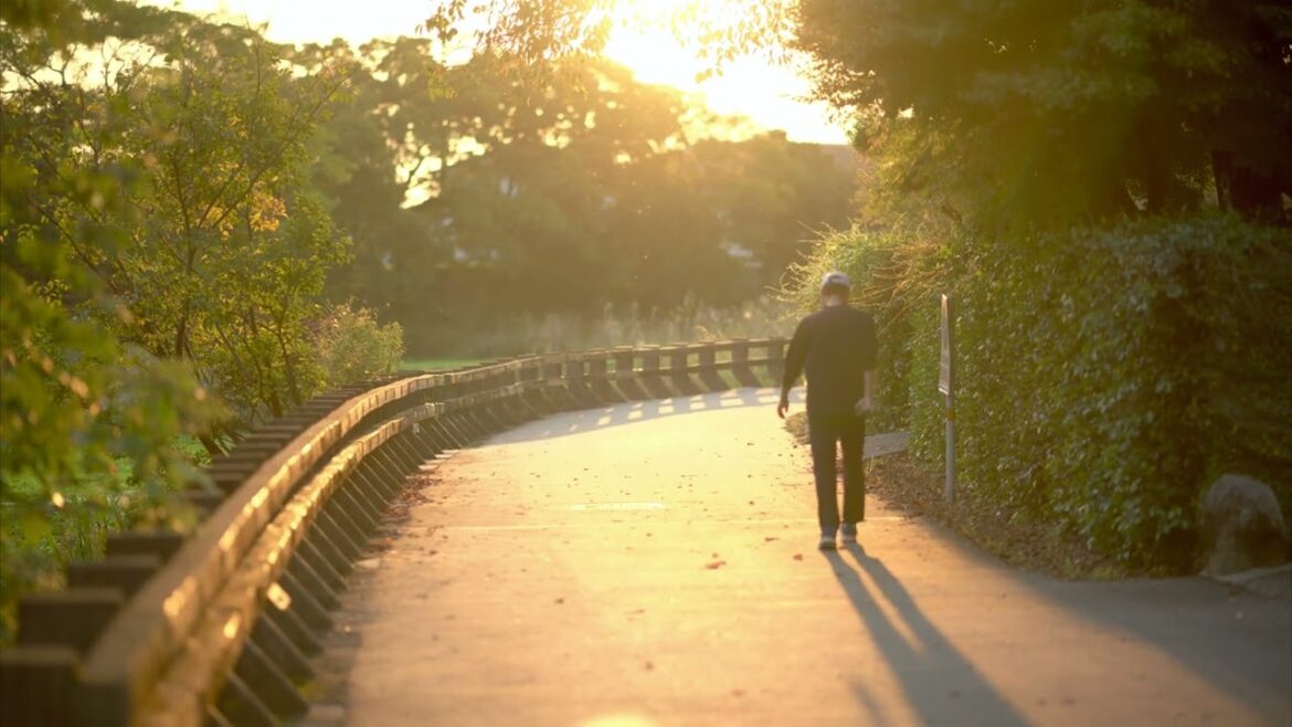 【8K HDR】LAKE SIDE SUNSET
