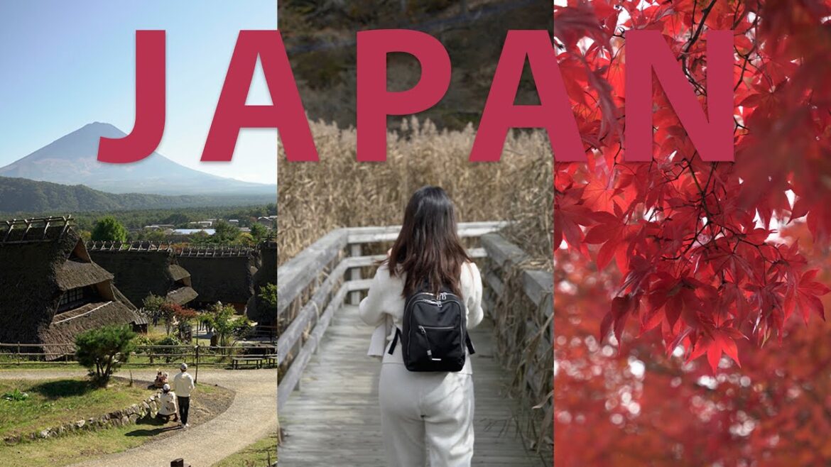 Japan vlog | Places to visit in Autumn 2024
