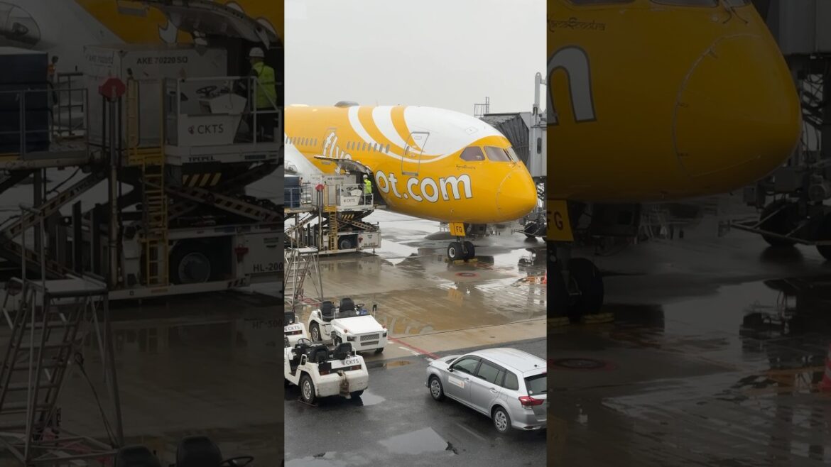 FlyScoot Boeing 787 Dreamliner at KIX Osaka International airport
