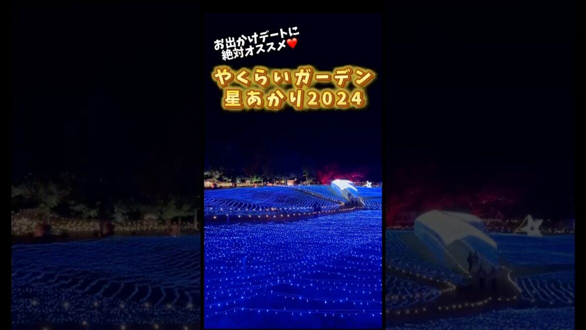 絶対オススメ‼︎星あかり2024やくらいガーデン【仙台ドライブ】