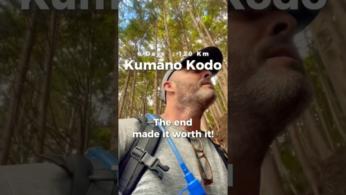 Kohechi and Nakahechi Trails, an amazing hike! #kumanokodo #nachishrine #travel #shorts