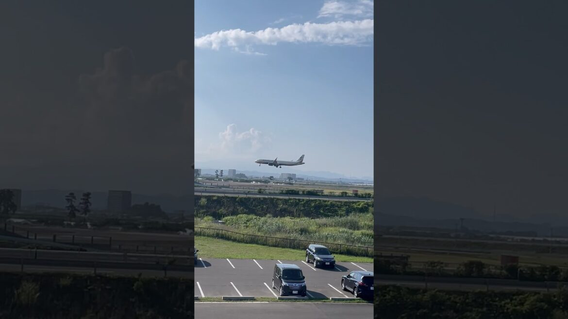 I believe I can fly    #fly #shortsvideo  #sendai  #japan  #landing  #skylady #believe ￼