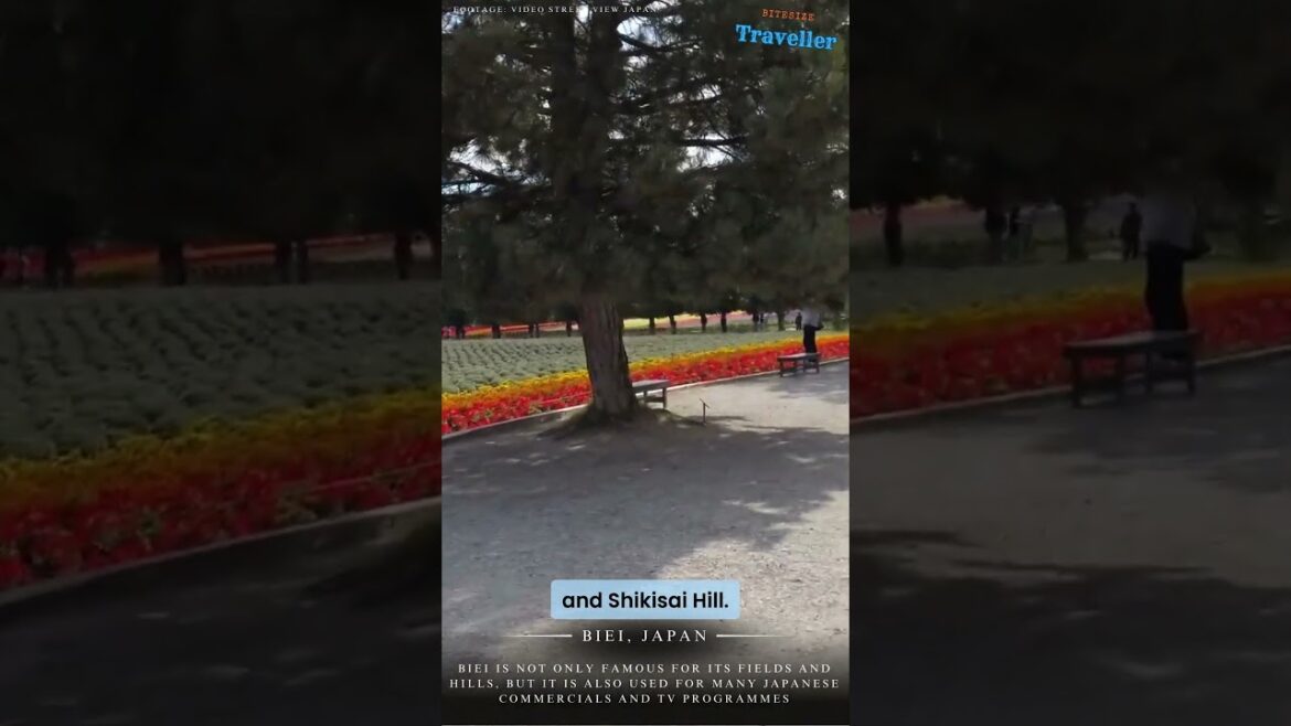 Explore the Breathtaking Landscapes of Biei, Hokkaido 🗾 Explore the Breathtaking Landscapes of Biei, Hokkaido 🗾