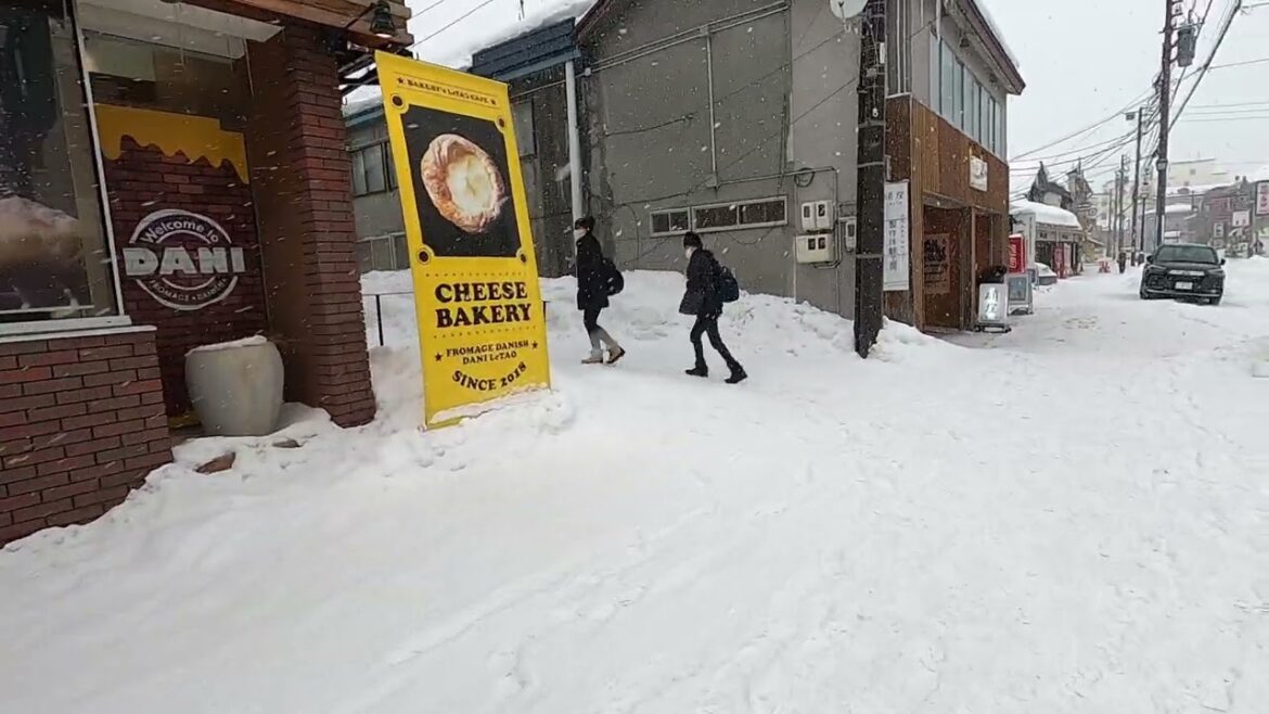 Otaru, Hokkaido snow fall