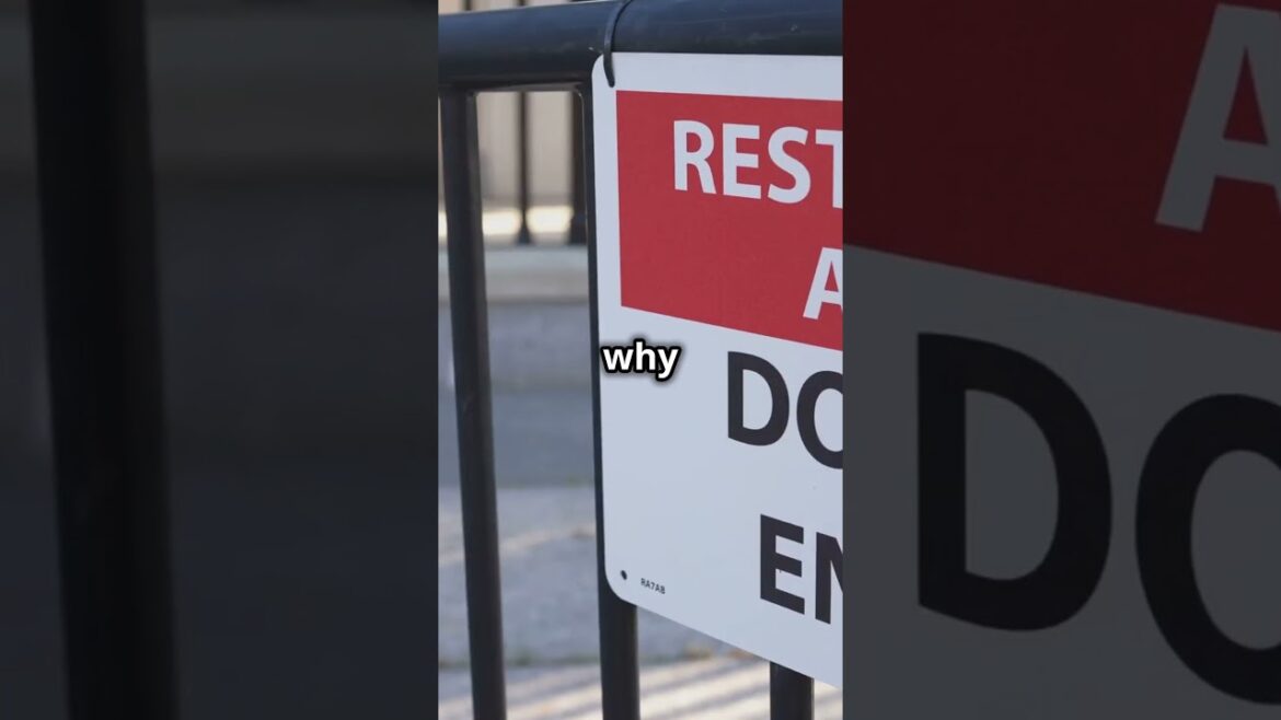 🏝️ Hashima Island: Japan’s Forbidden Ghost Island 🏚️