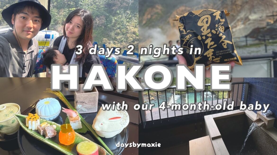 JAPAN vlog | 3 Days in Hakone with our Baby – Private Onsen, Lake Ashi Cruise, Mt.Fuji Views π» JAPAN vlog | 3 Days in Hakone with our Baby - Private Onsen, Lake Ashi Cruise, Mt.Fuji Views π»