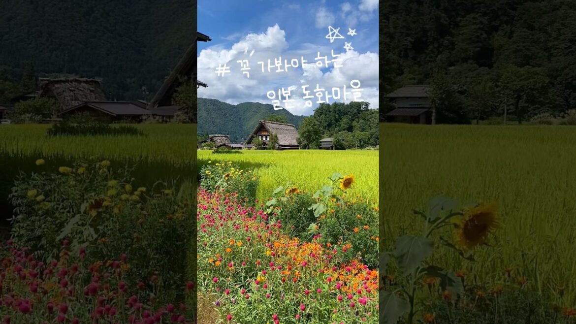 무조건 꼭❗️가봐야 하는 일본 소도시 시라카와고 #일본여행 #일본소도시