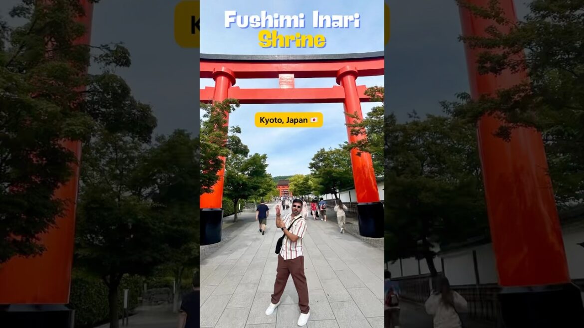 Fushimi Inari Shrine | Kyoto | Japan #kyoto #japan #fushimiinarishrine #shortsfeed #travel Fushimi Inari Shrine | Kyoto | Japan #kyoto #japan #fushimiinarishrine #shortsfeed #travel