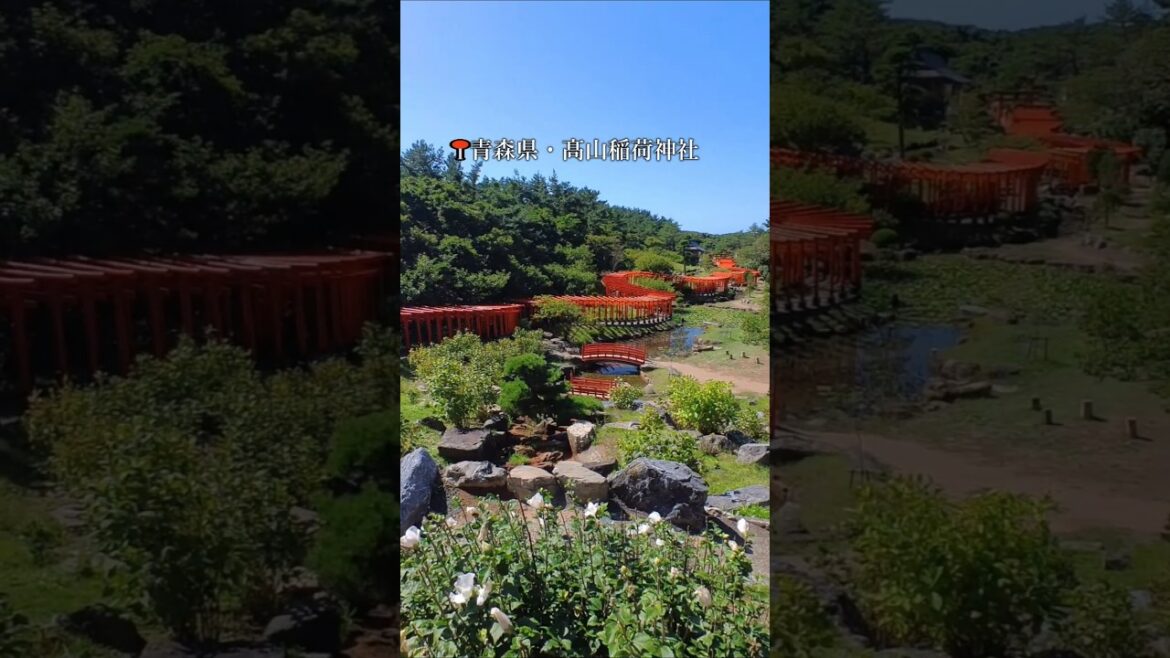 【遠隔旅行】龍のようにうねる千本鳥居が織りなす絶景【青森 つがる市】#観光 #青森 #つがる市　
