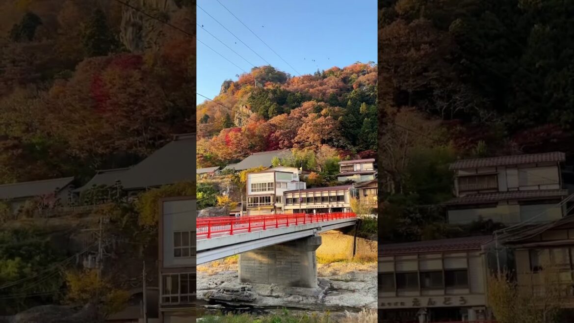 Yamagata's Stunning Autumn Colours!