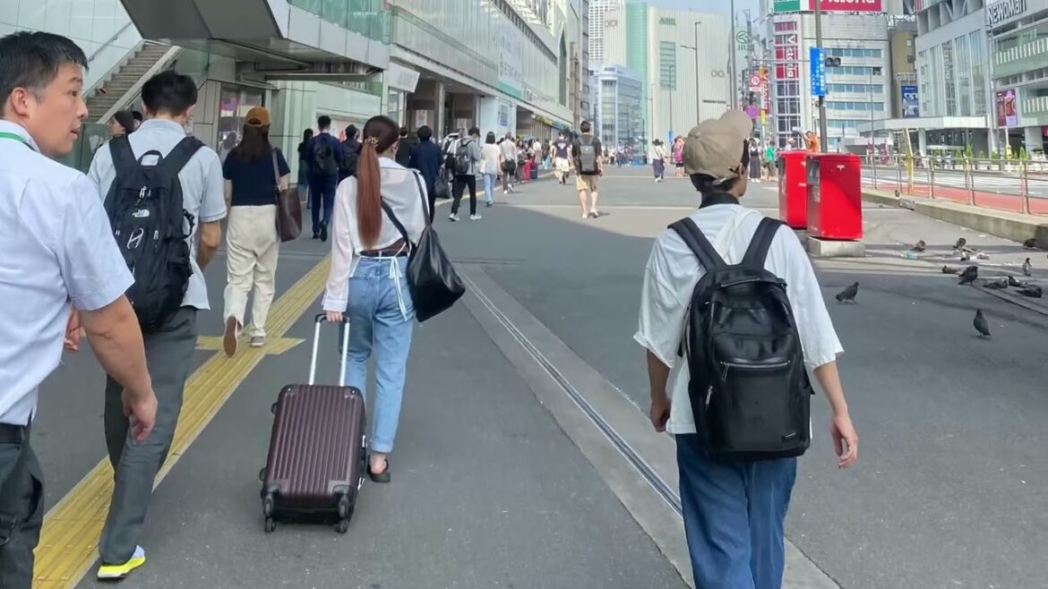 My everyday life in Japan 2024