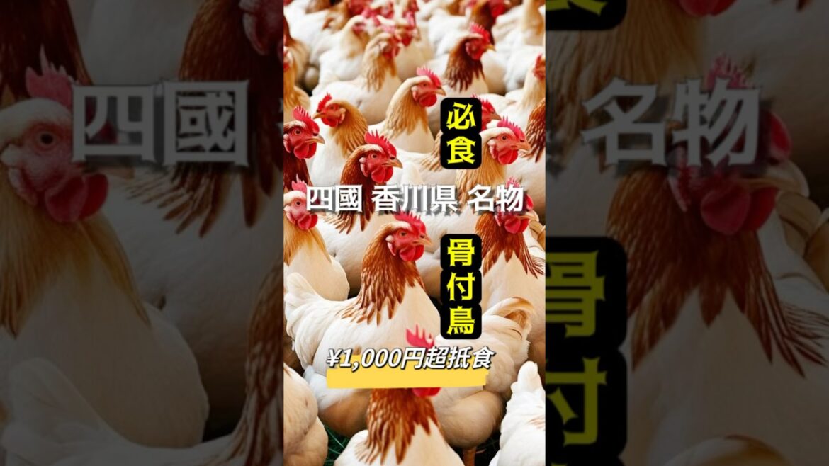 県必吃名物！1千円超抵食！ 寄鳥味鳥 #旅行 #親子旅遊 #四國 #香川県 #骨付鳥