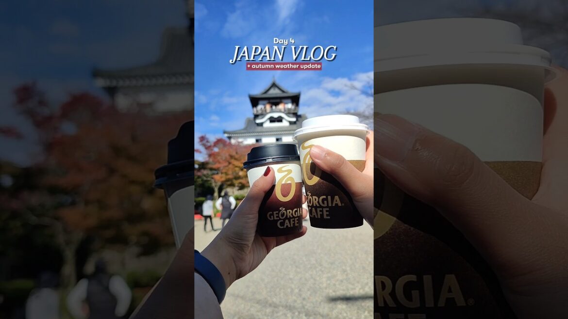 Japan vlog autumn weather update: Nagoya to Inuyama Castle 🏯 #japantravel #japantips #nagoya #japan