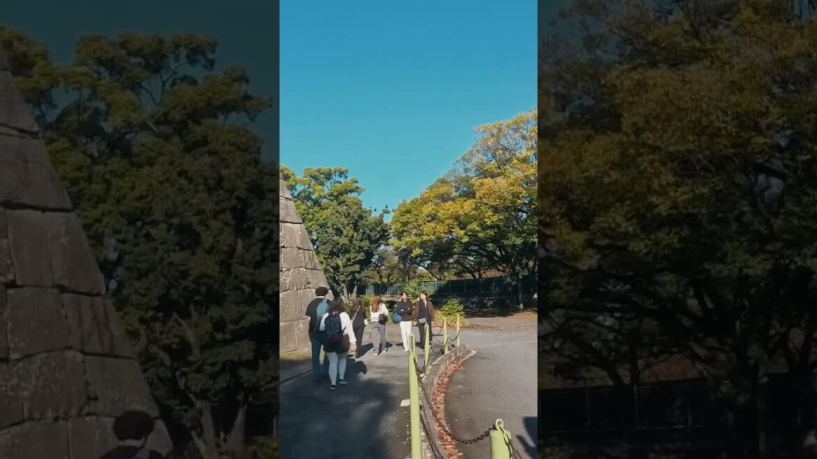 Insta360】Nagoya castle  #japan #travel #insta360 #nagoya #castle #aichi
