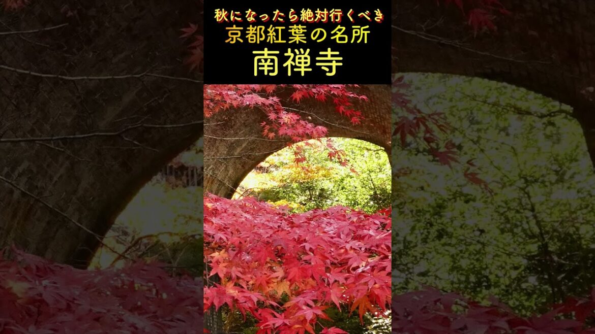 #Shorts 秋京都で絶対に行くべき南禅寺の紅葉03 #京都紅葉 #南禅寺
