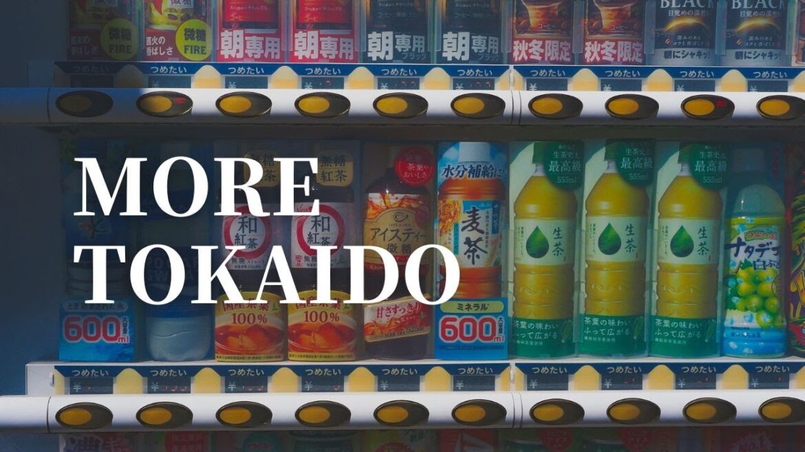 Day 70: Walking thru Shizuoka City on the Old Tokaido Highway 東海道