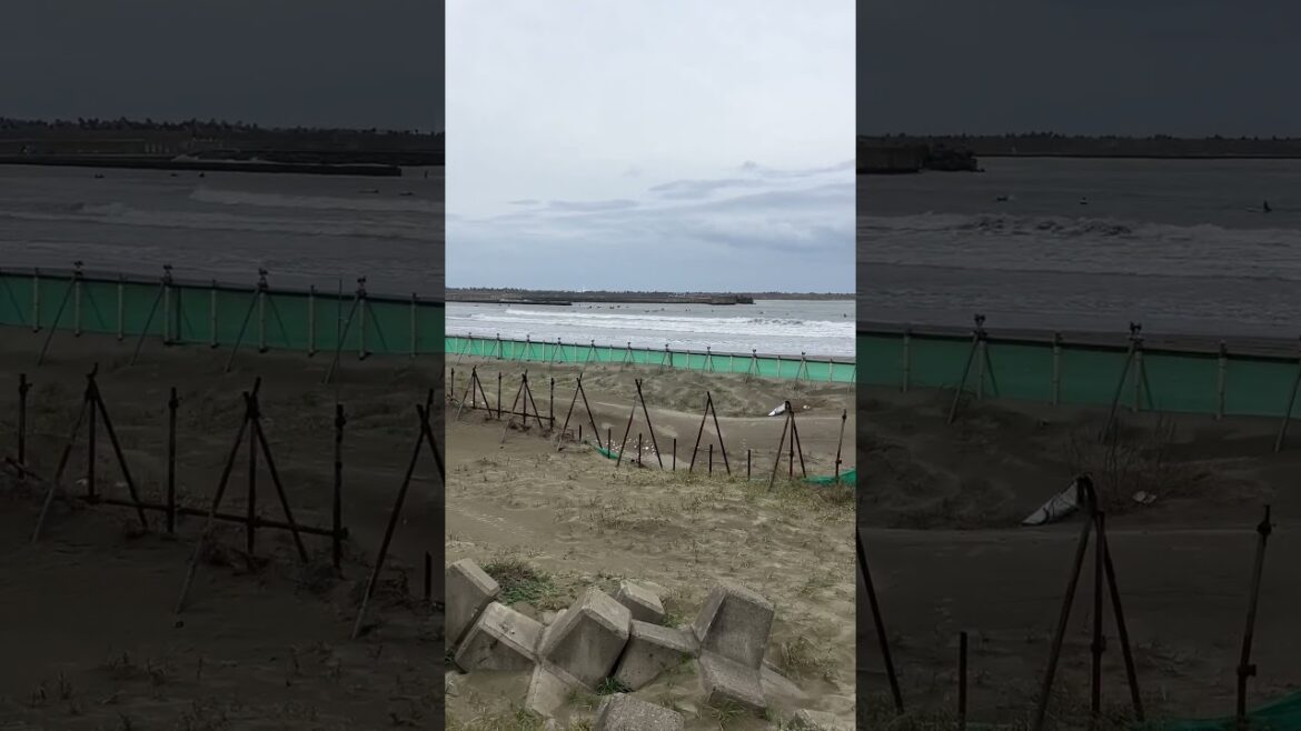 2024年11月16日　14時  波情報　千葉　片貝漁港　サイズ　コシセットハラ　サイドオフ