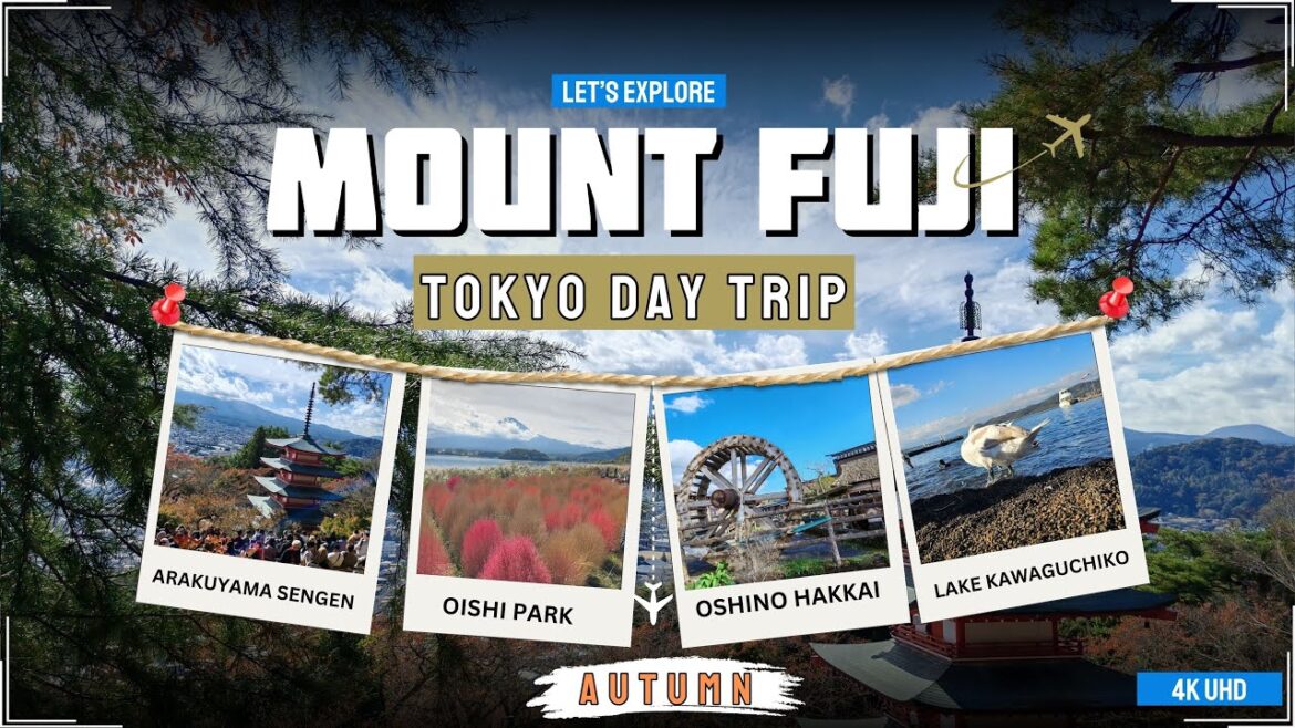 Day Trip from Tokyo: Mt Fuji(4K UHD) - Autumn| OishiPark, ArakuyamaSengen, OshinoHakkai, Kawaguchiko