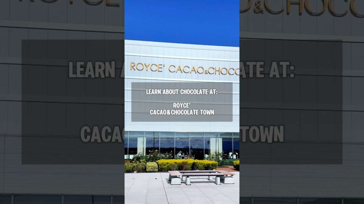 🍫 What to expect at Royce’ Cacao&Chocolate Town #sapporo #hokkaido #japantravel #roycechocolate 🍫 What to expect at Royce’ Cacao&Chocolate Town #sapporo #hokkaido #japantravel #roycechocolate