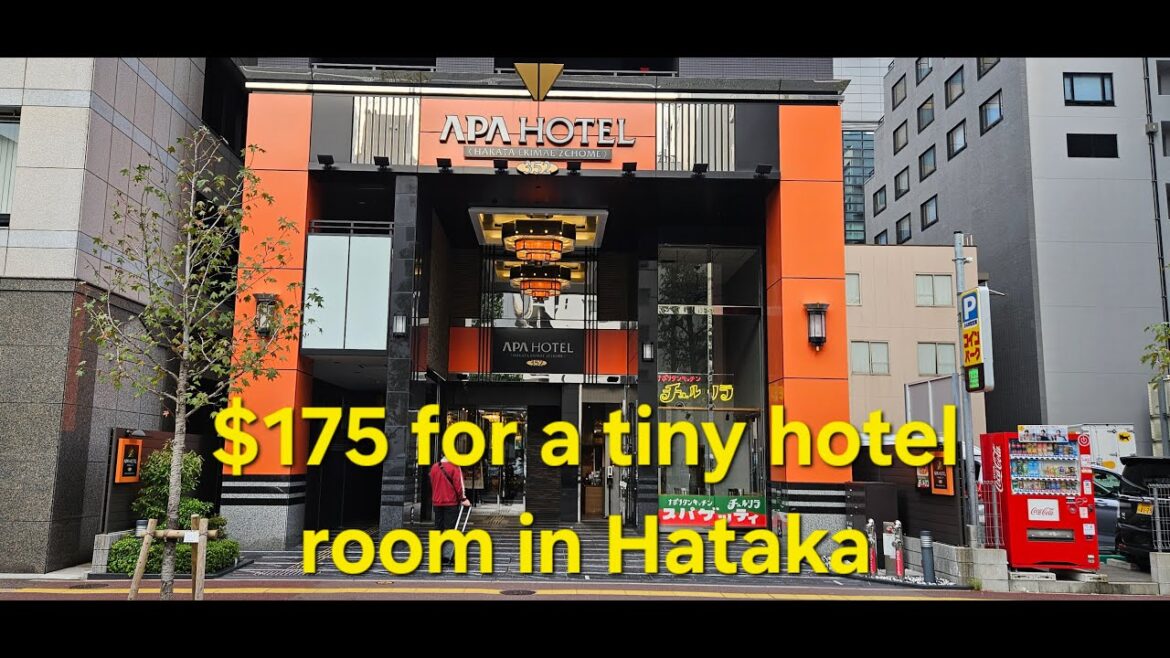 $175 for An Overpriced Tiny Hotel Room 🏨 (Fukuoka) 2024