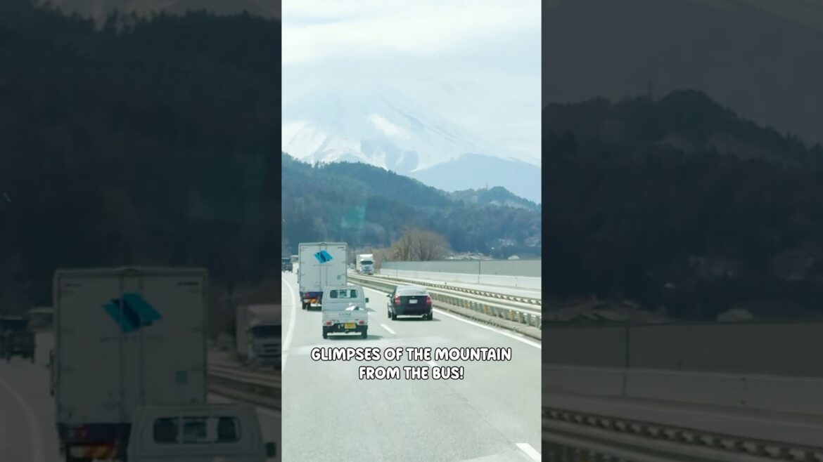 Mt Fuji is a MUST SEE when in Tokyo! 🗻 #shorts #japan #travel