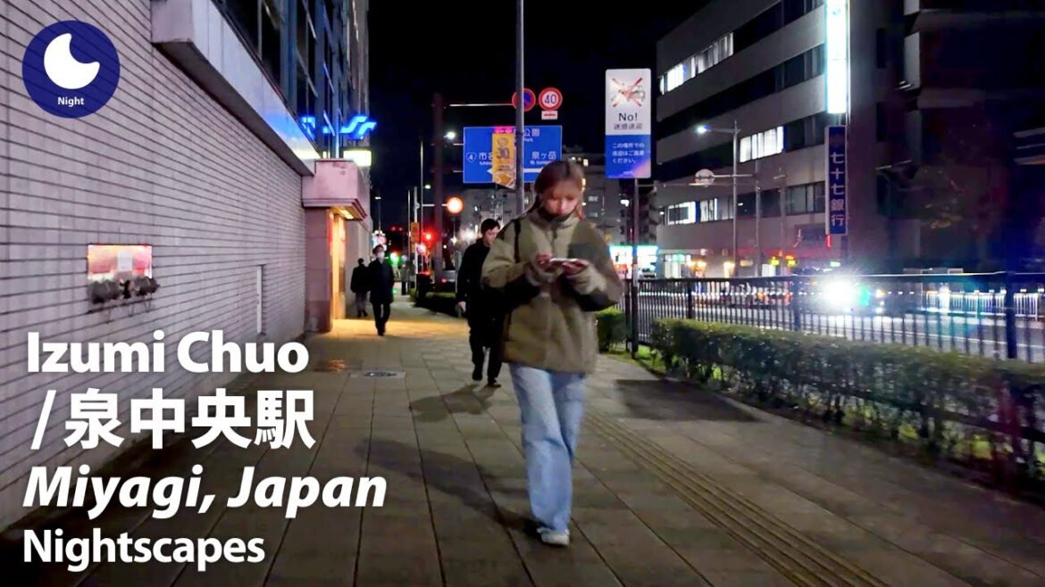 ⁴ᴷ Miyagi: Izumi Chuo Station (宮城県: 泉中央駅) – Japan Walking Tour (November, 2024) ⁴ᴷ Miyagi: Izumi Chuo Station (宮城県: 泉中央駅) - Japan Walking Tour (November, 2024)
