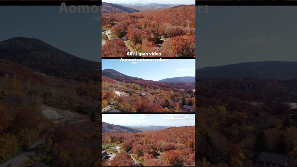 The Autumn of Japan.