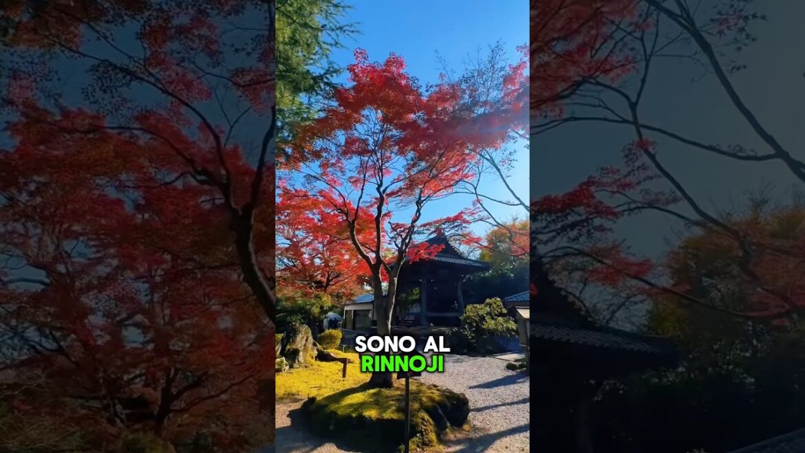 Sono al Rinnoji, un tempio che, secondo me, è uno dei più belli di tutto il Giappone.