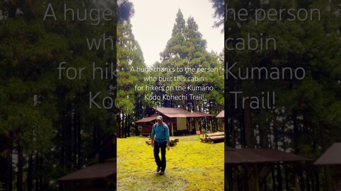 Awesome cabin on the Kohechi Trail #kumanokodo #熊野古道 #kohechi #shorts