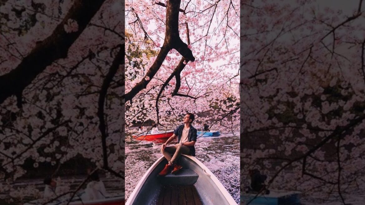 Top 5 Must-See Spots in Tokyo, Japan! #shorts #travel #holiday