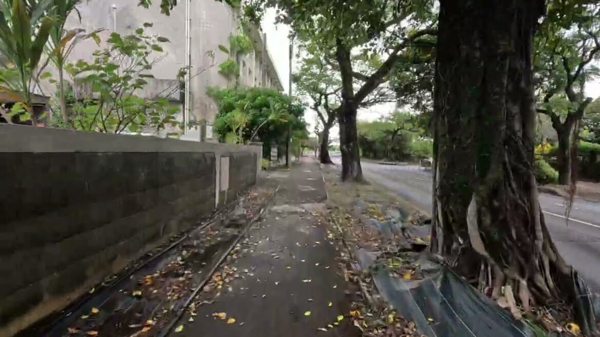 A ride through Nago Part 2