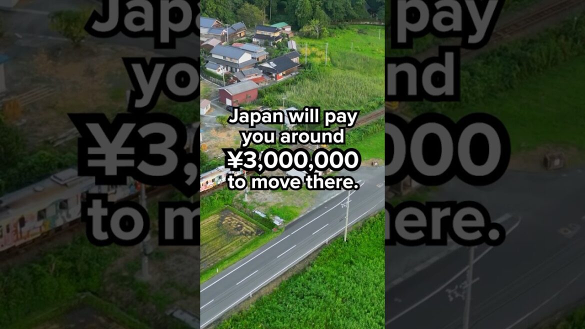 Japan will pay you to move there #shorts