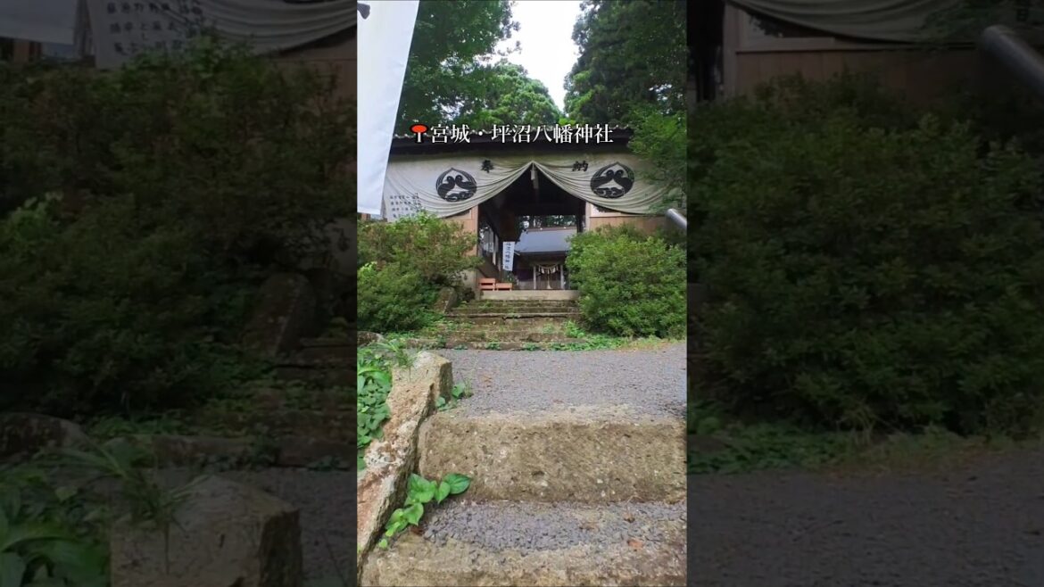 千年の森に囲まれた仙台最古の八幡神社　#shorts #観光 #宮城