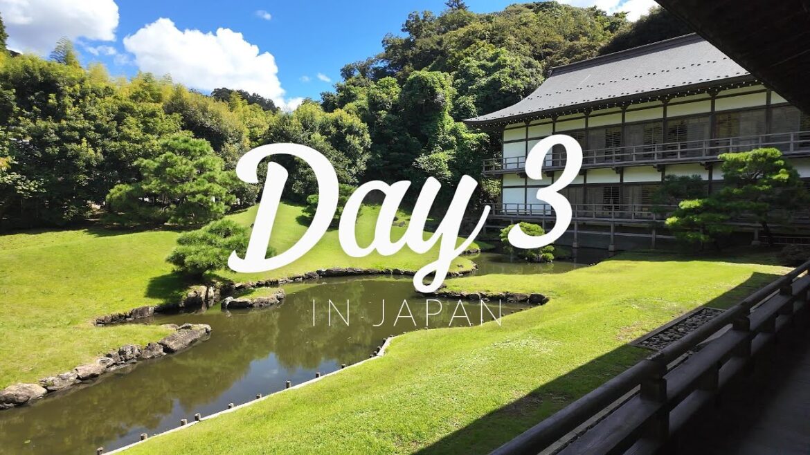 Solo Trip to Japan ep.3 | Walking Kamakura & Yokohama | POV Travel | (No Commentary)