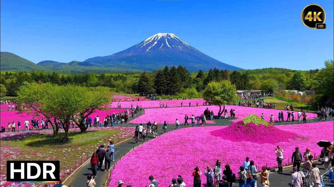 Walking around Mt. Fuji / Fujikawaguchiko • 4K HDR