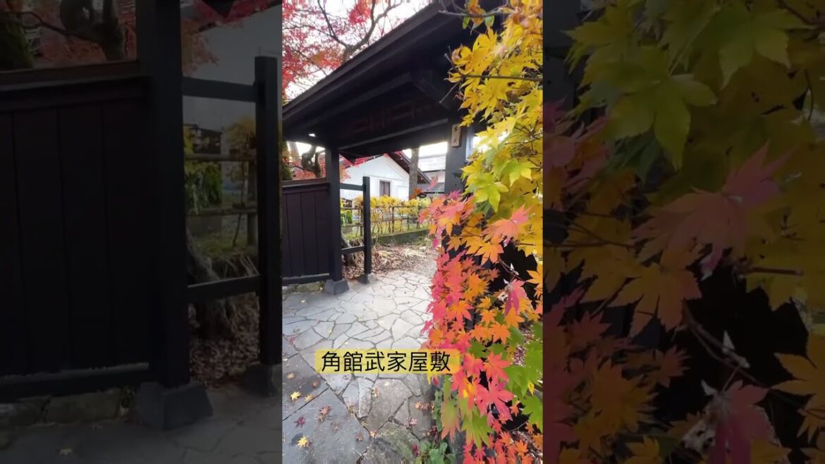 楓之秋田青柳家