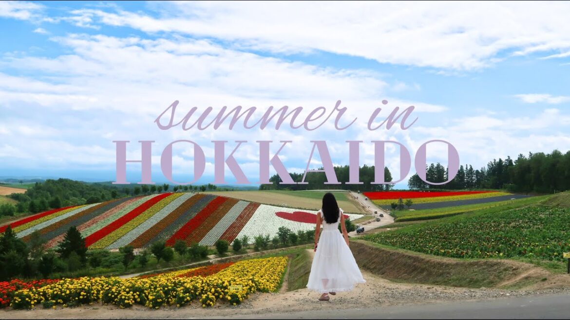 Summer in Hokkaido | Visiting the most beautiful sunflower garden and flower farms in Hokkaido Pt. 1 Summer in Hokkaido | Visiting the most beautiful sunflower garden and flower farms in Hokkaido Pt. 1