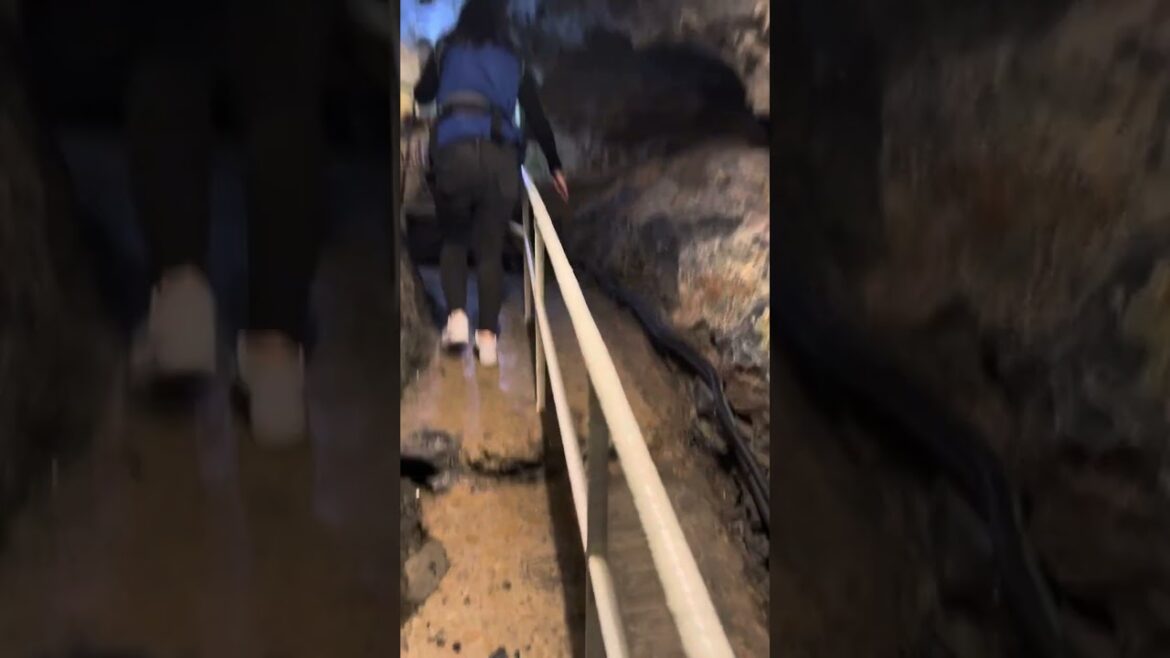#kumamoto #japan #cave #tour #fun