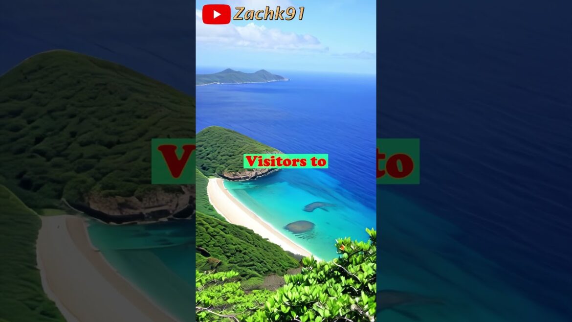 β¨ Discovering the Sacred Island of Okinoshima ποΈ & Munakata Region πΏ Pt. 2 β¨ Discovering the Sacred Island of Okinoshima ποΈ & Munakata Region πΏ Pt. 2