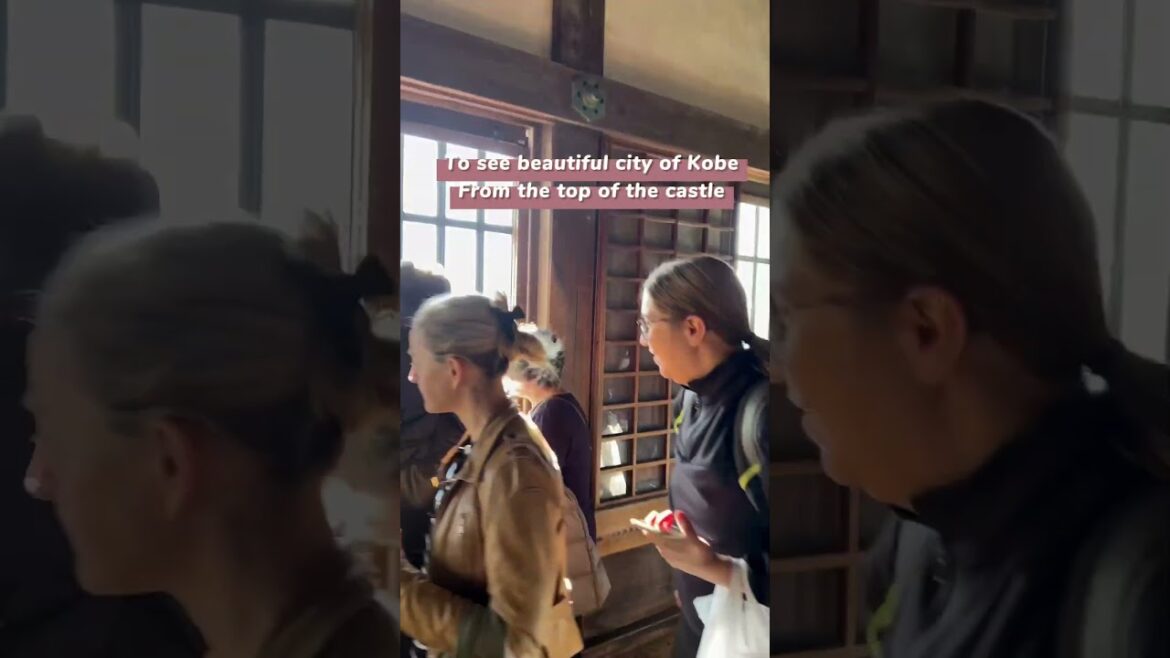 🍁(osaka trip) Kobe Maple trees at Himeji Castle Nov 2024🍁