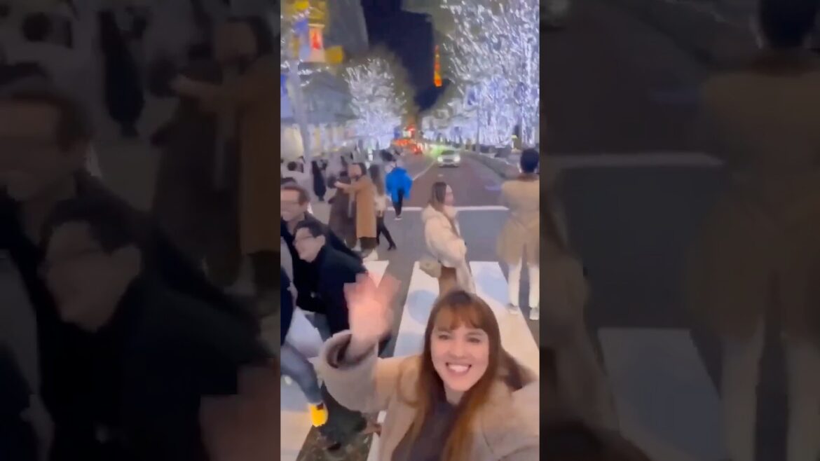 Tourists Jam Traffic @ Tokyo Crosswalk?