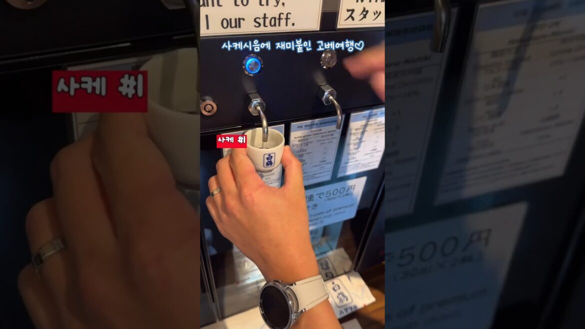 [여행브이로그] 사케시음에 재미붙인 고베여행~ ٩(^ᴗ^)۶