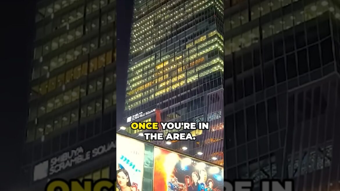 THE MOST INSANE DISTRICT IN JAPAN