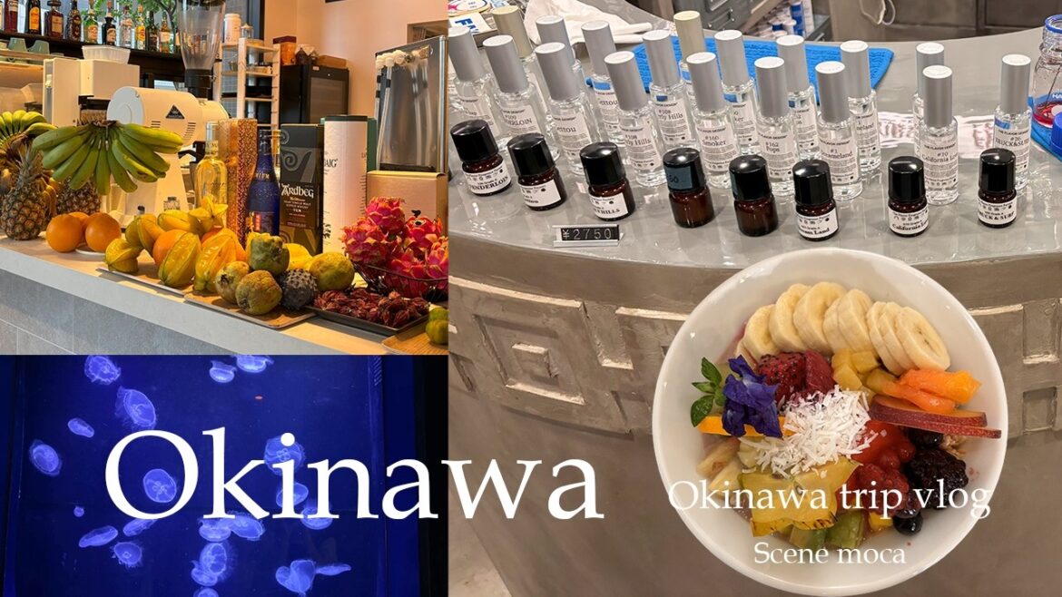 #沖縄旅行 #美ら海水族館【沖縄旅行Vlog – 11月の沖縄】雨でも行ける観光地 本部町の美ら海水族館から北谷町のアメリカンビレッジへ #沖縄旅行 #美ら海水族館【沖縄旅行Vlog - 11月の沖縄】雨でも行ける観光地 本部町の美ら海水族館から北谷町のアメリカンビレッジへ