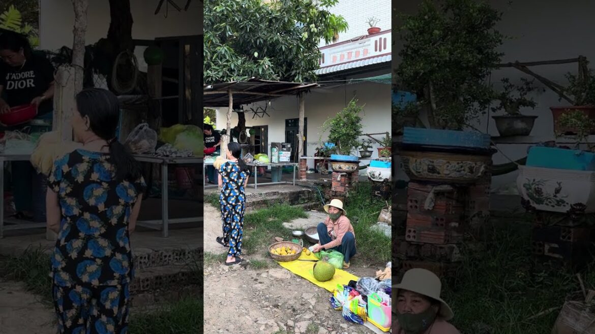The beauty of Phu Yen traditional market #market #shorts The beauty of Phu Yen traditional market #market #shorts
