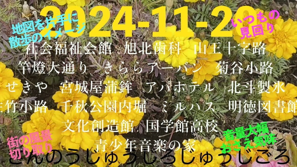 2024-11-20さんのうじゅうじろじゅうじごろ