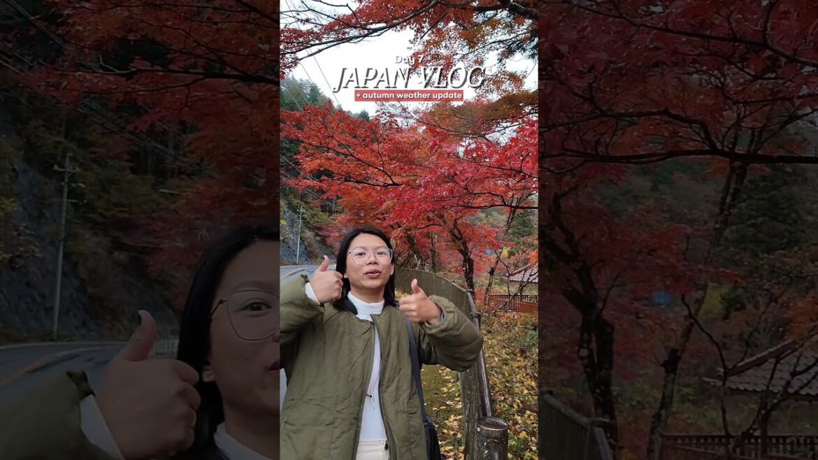 Day trip from Nagoya: Oidaira Park with peak autumn foliage #japanautumn #japan #japantravel #nagoya