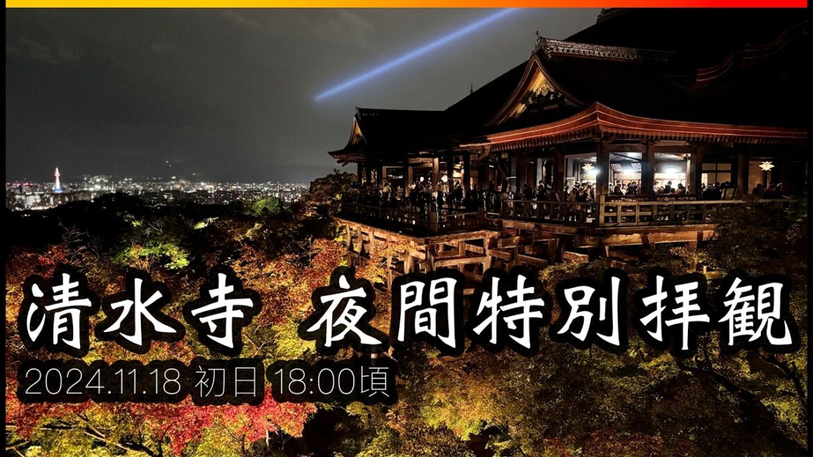[京都] 清水寺の夜間ライトアップ初日！2024年11月18日の特別拝観