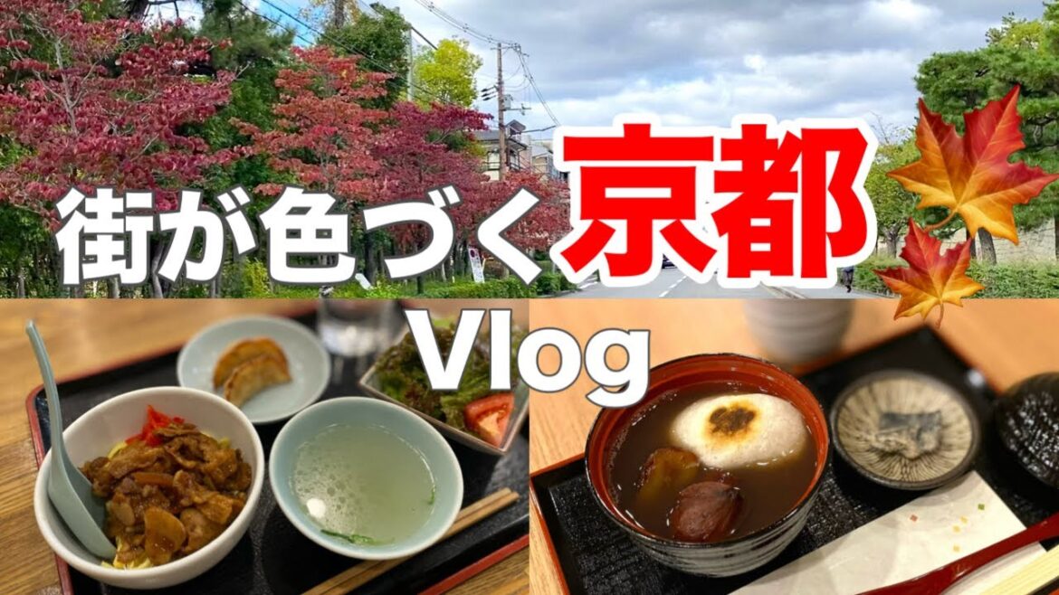 京都Vlog🍁秋の京都でリフレッシュ🍁色づく街を日帰り観光で満喫! 京都Vlog🍁秋の京都でリフレッシュ🍁色づく街を日帰り観光で満喫!